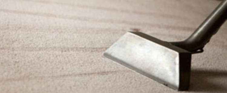 carpet cleaning Carmel