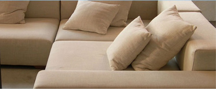 upholstery cleaning Carmel